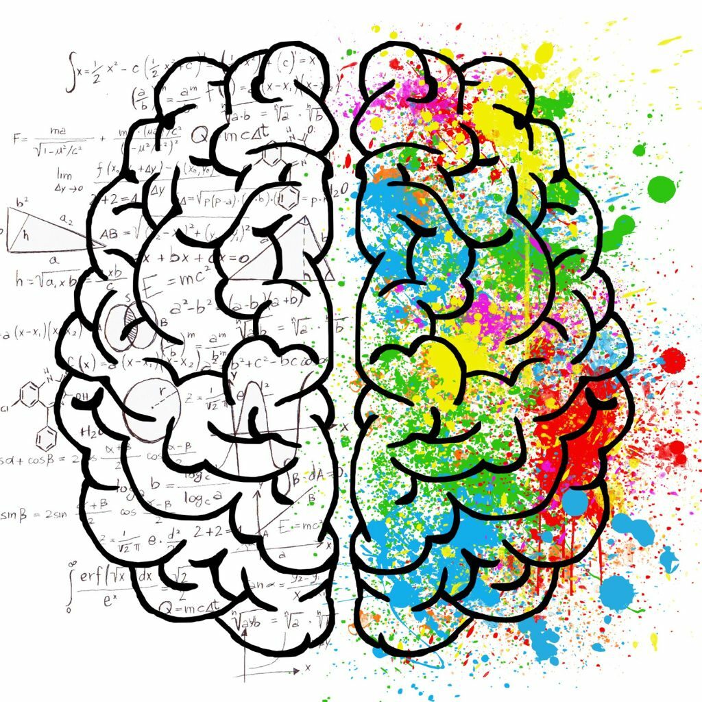cerebro_mindjung